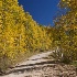 © Jim Klages PhotoID # 13444745: Kebler Pass Road