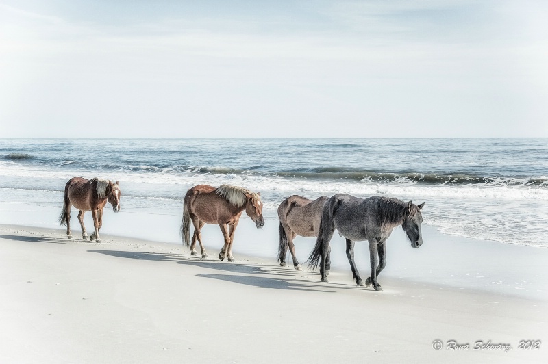 Beach Parade II