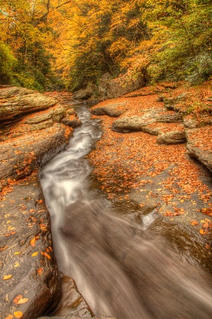 Ohiopyle Slide