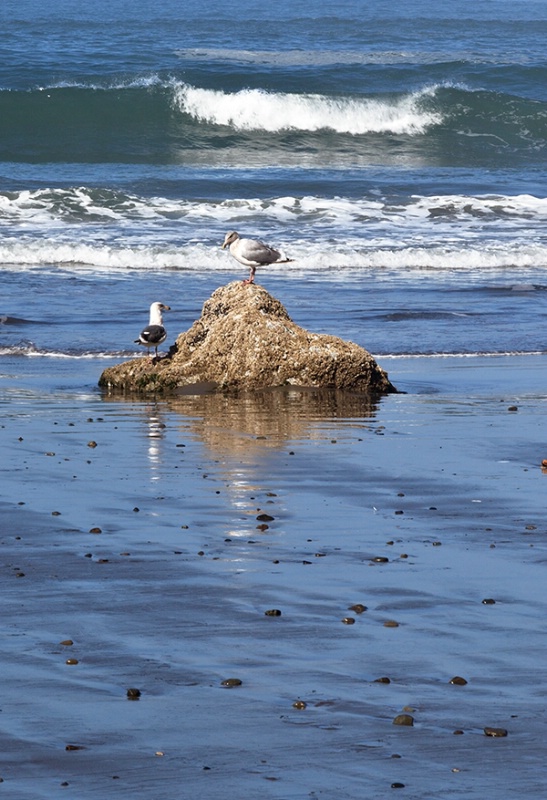 Stand Off at 2nd Beach EP