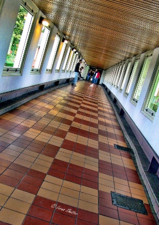 Peace Bridge Customs Plaza