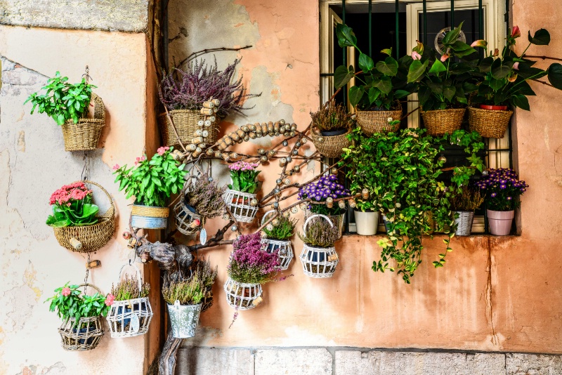 Potted Wall - ID: 13446842 © Stanley Singer