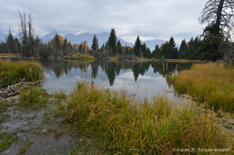 Pond in the Tetons