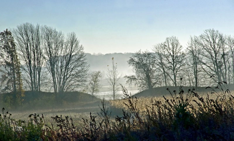 Morning Countryside Mist