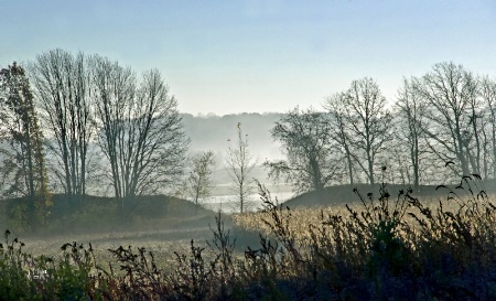 Morning Countryside Mist