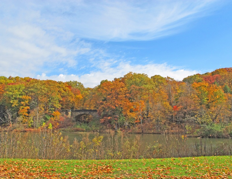 Autumn Colors At Glacier Lake