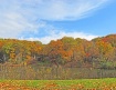 Autumn Colors At ...