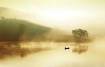 Misty