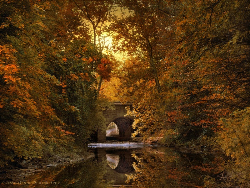 Autumn Country Bridge