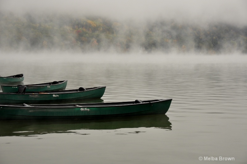 Foggy Morning on the Lake