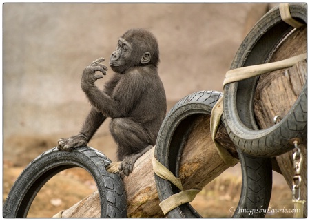 Counting Tires