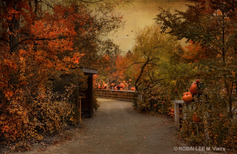 Jack-O-Lantern Lane