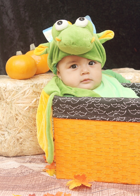 *Baby Dragon*