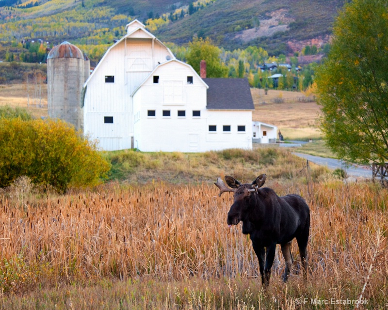 park city fall 11 - ID: 13458701 © F M. Estabrook