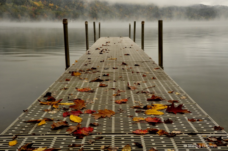 Leaves on the Dock