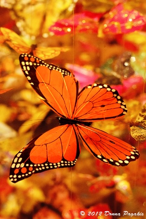 Dangling Butterflies 