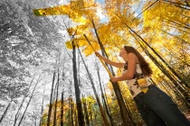 Photography Contest Grand Prize Winner - October 2012: First Coat of Fall