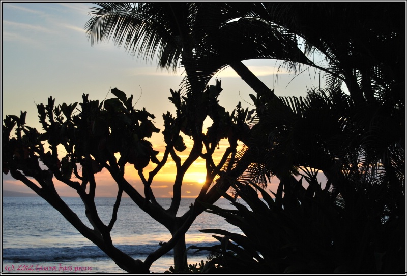 tropical sunset - ID: 13466464 © Laura