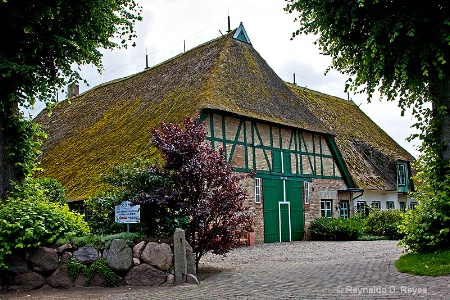 ReedRoof House II