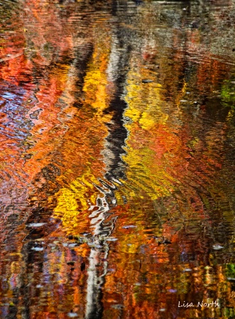 October Autumn Pond Reflections