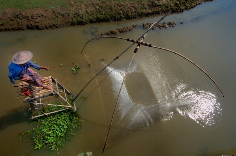 Catching Fishes