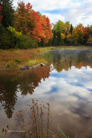 Autumn Morning at the Pond