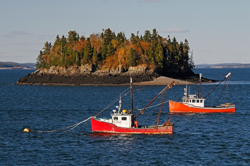 Safe in the Harbor