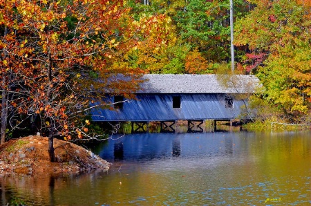 Covered Bridge to Natures Trail...