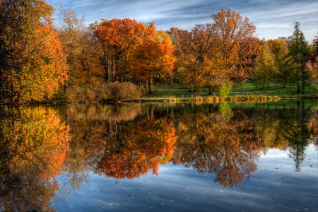 Fall foliage reflected