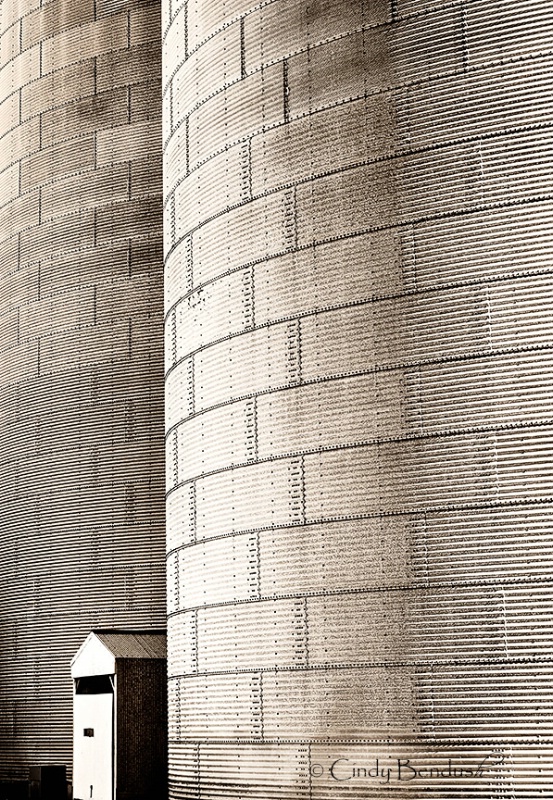 img7