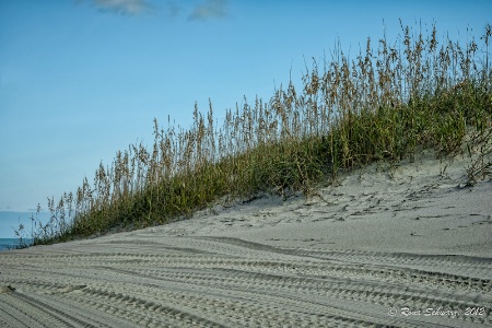 Dunes: Outer Banks,NC