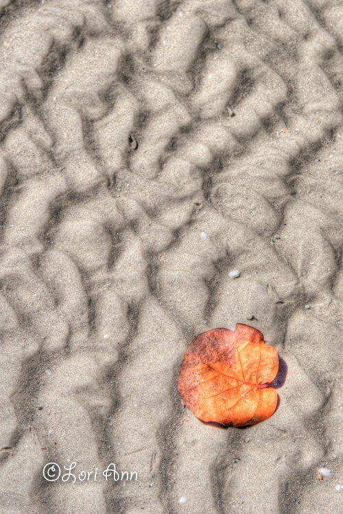 Low Tide Rest