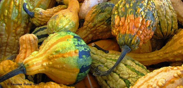 Gourds