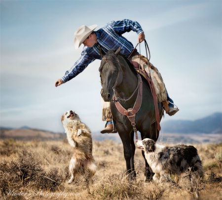 Ranch Dogs