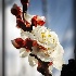 © JudyAnn Rector PhotoID# 13481985: Spring Bloom