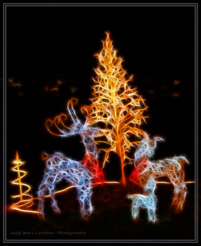 Colors of Christmas - ID: 13481988 © JudyAnn Rector
