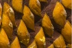 PineComb Upclose