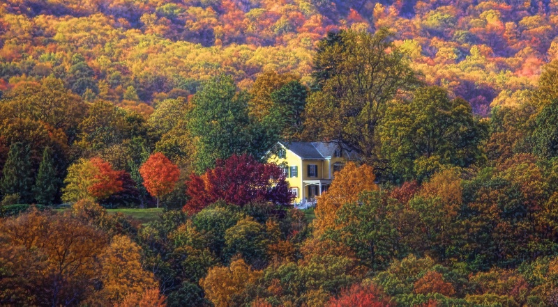 Autumn Hillside