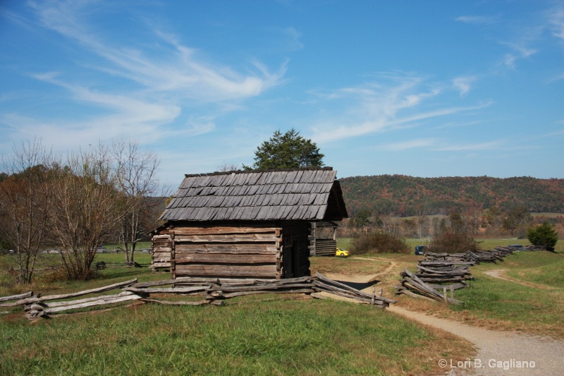 Pioneer Times