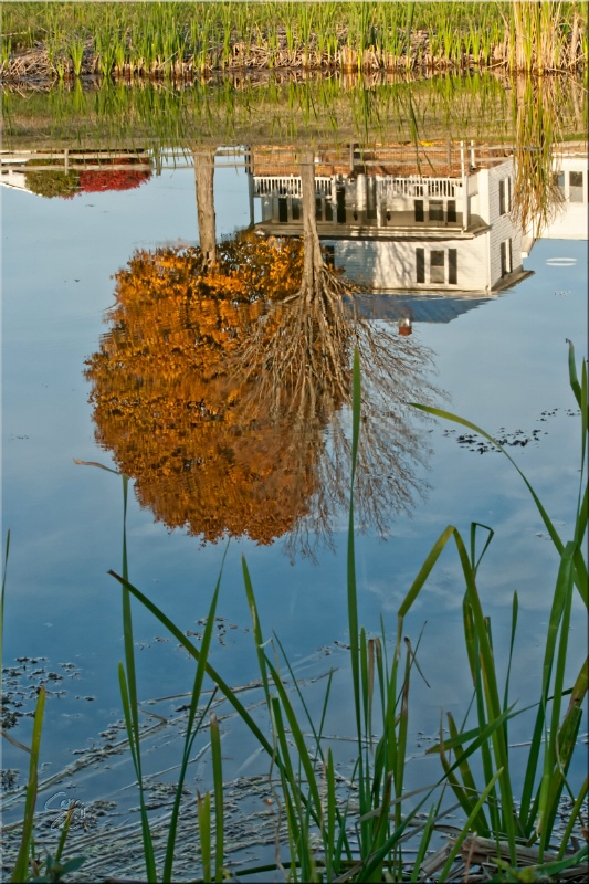 Farmhouse Reflections