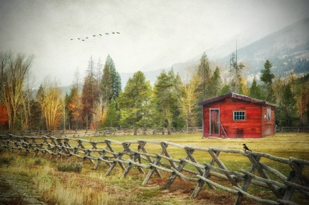 Cabin in the Mountains