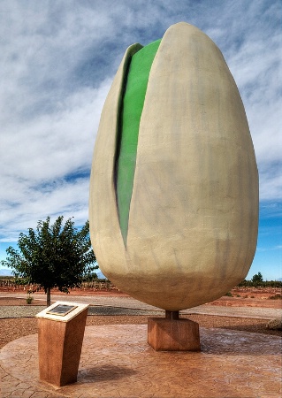 World's Largest Pistachio