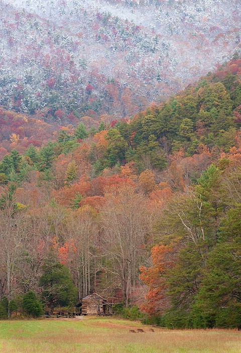 Cades Cove, GSMNP Fall 2012 - 1 - ID: 13484664 © Donald R. Curry