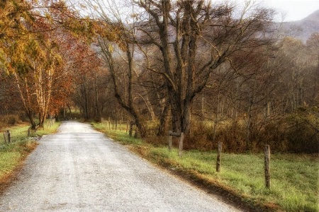 Morning on the Backroads