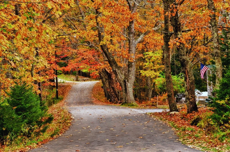 Autumn in New England