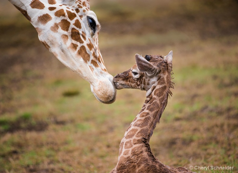 Hi, Mom!