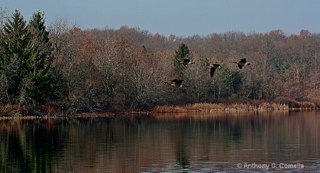 ~Pickeral Lake Fly over~