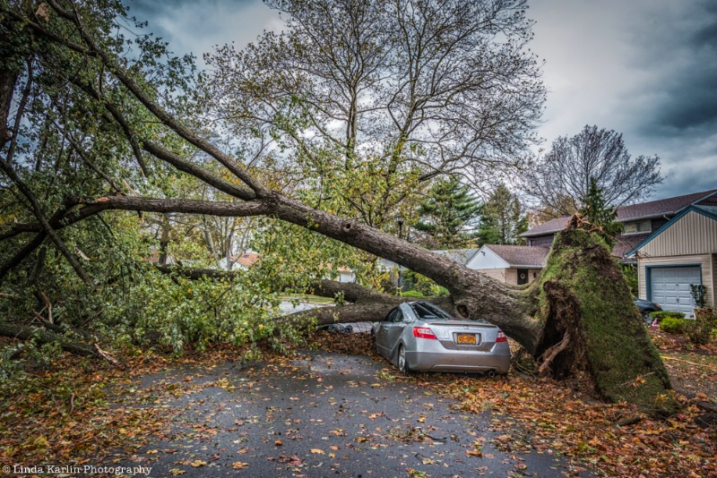 The Strength of Hurricane Sandy