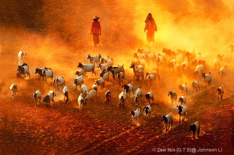 Photography Contest Grand Prize Winner - Feeding