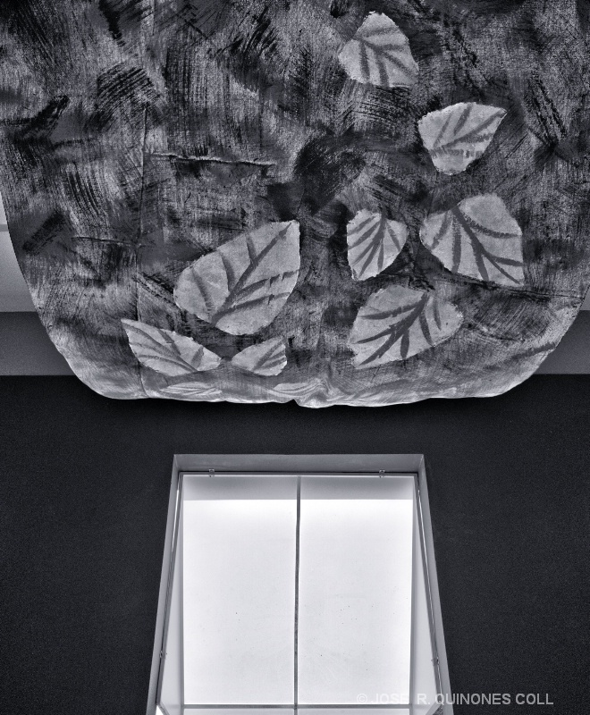 CEILING CURTAIN BY WINDOW LIGHT
